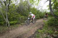 _mtb0436_small.jpg