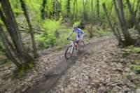 _mtb0585_small.jpg