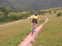 passionetrail2009_small.jpg