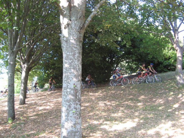 cingolibiketourpertuttiparcoportella.jpg