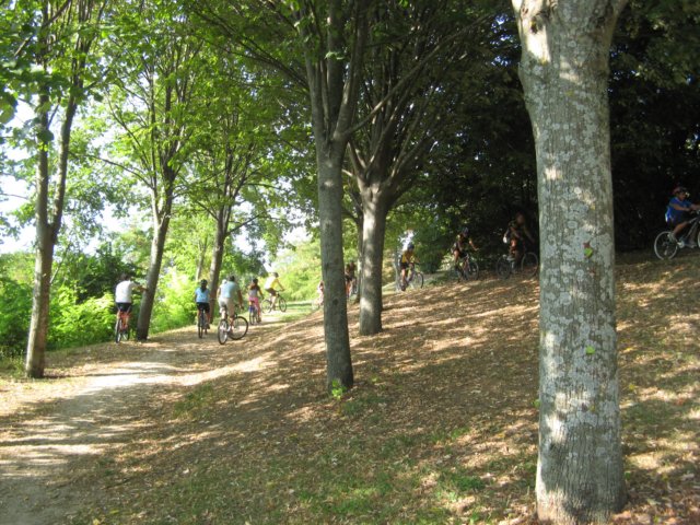 cingolibiketourpertuttiparcoportella2.jpg